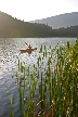 Sasamat Lake, Canada Stock Photos