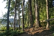 Belcarra Regional Park, Canada Stock Photos