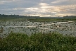 Burnaby Lake, Canada Stock Photos