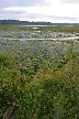 Burnaby Deer Lake, Canada Stock Photos