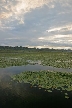 Burnaby Deer Lake, Canada Stock Photos