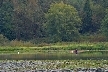 Burnaby Deer Lake, Canada Stock Photos