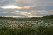 Burnaby Deer Lake, Canada Stock Photos