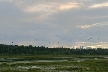 Burnaby Lake, Canada Stock Photos