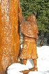 First Nation Woman, Canada Stock Photos