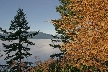 Burnaby Mountain Park In Myst, Canada Stock Photos