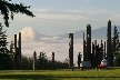 Burnaby Mountain Park, Canada Stock Photos