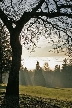 Burnaby Mountain Park In Myst, Canada Stock Photos