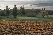 Burnaby Mountain Park, British Columbia