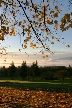 Burnaby Mountain Park, British Columbia