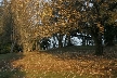 Burnaby Mountain Park, British Columbia