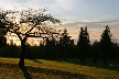 Burnaby Mountain Park, British Columbia