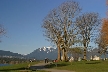 Fall At Kitsilano, Canada Stock Photos