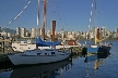 Boats, False Creek