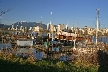 Kitsilano Beach, Canada Stock Photos