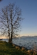 Kitsilano Beach, Canada Stock Photos