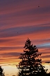 Vancouver Skyscape, Canada Stock Photos