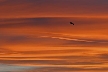 Vancouver Skyscape, Canada Stock Photos