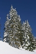 Cypress Mountain, Canada Stock Photos