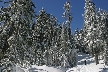 Cypress Mountain, Canada Stock Photos