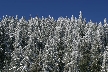 Cypress Mountain, Canada Stock Photos