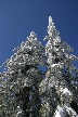 Cypress Mountain, Canada Stock Photos