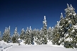 Cypress Mountain, Canada Stock Photos