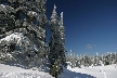 Cypress Mountain, Canada Stock Photos