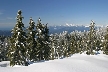 Cypress Mountain, Canada Stock Photos