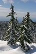 Cypress Mountain, Canada Stock Photos