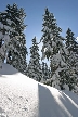 Cypress Mountain, Canada Stock Photos