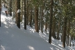 Winter, Howe Sound