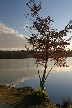 Burnaby Lake, Canada Stock Photos