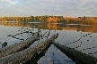 Burnaby Lake, Canada Stock Photos