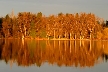 Burnaby Lake, Canada Stock Photos