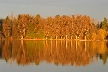 Burnaby Lake, Canada Stock Photos