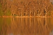 Burnaby Lake, Canada Stock Photos