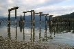 Barnet Beach, Barnet Marine Park