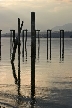 Barnet Beach, Barnet Marine Park