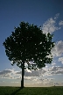 Sky, Canada Stock Photographs