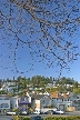 Massive White Rock, Canada Stock Photographs