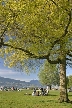 Vancouver Parks, Canada Stock Photos