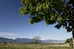 Vancouver Parks, Canada Stock Photos