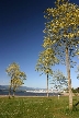 Vancouver Parks, Canada Stock Photos