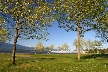 Vancouver Parks, Canada Stock Photos