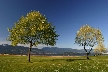 Vancouver Parks, Canada Stock Photos