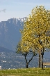 Vancouver Parks, Canada Stock Photos