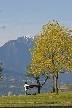 Vancouver Parks, Canada Stock Photos