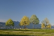 Vancouver Parks, Canada Stock Photos