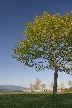 Vancouver Parks, Canada Stock Photos